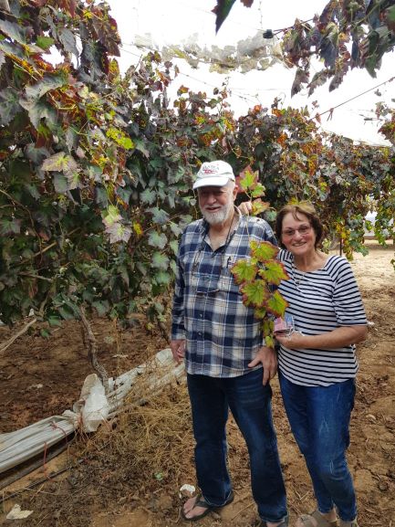 מיכל ואיתן בכרם