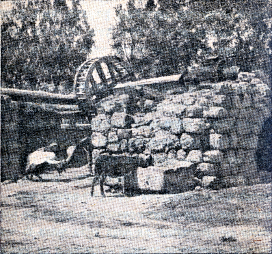'אנטיליה' (גלופת 'עם עובד') (מתוך הספר 'הכפר הערבי' למשה סטבסקי)